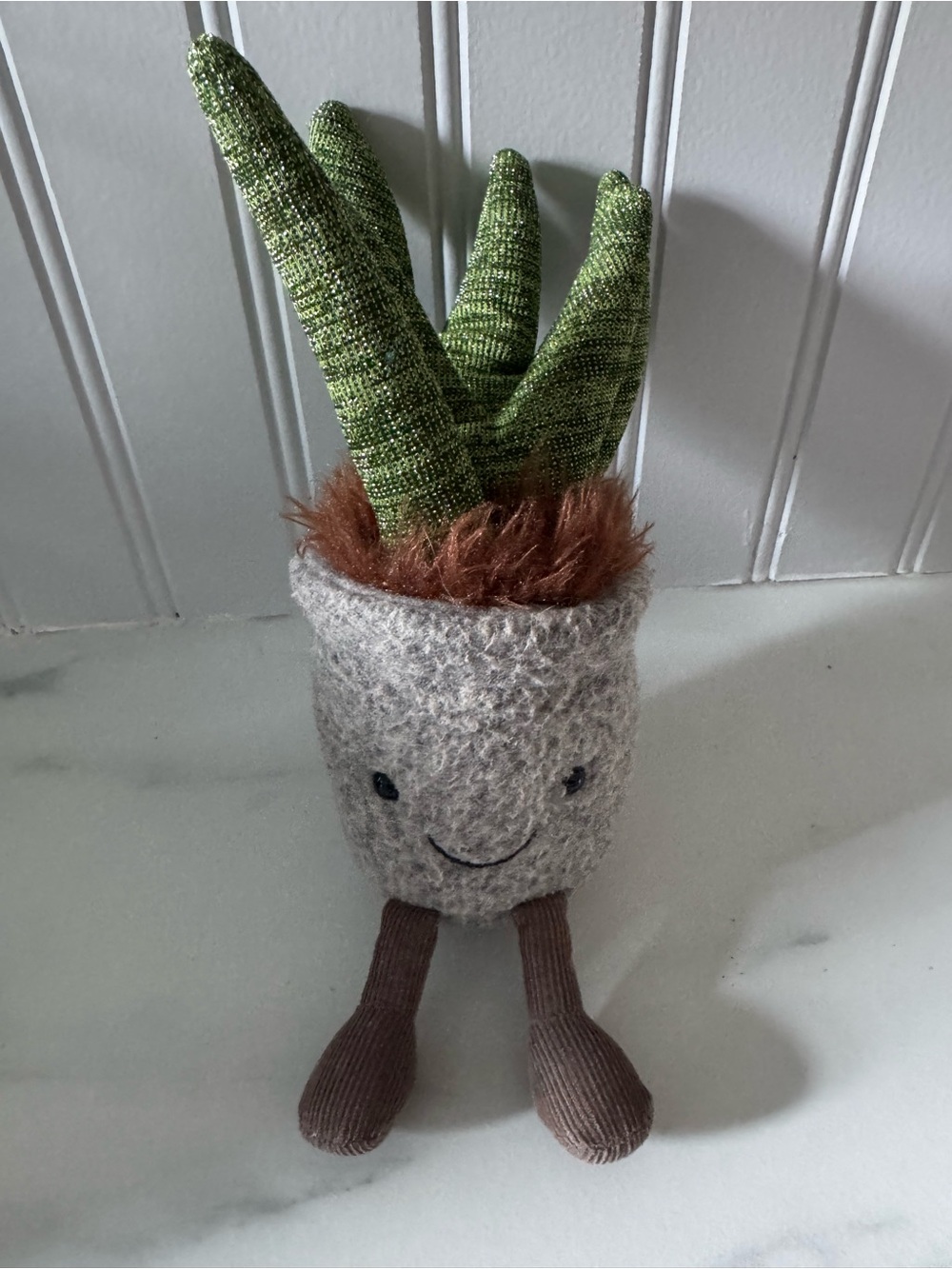 Jelly Cat Silly Succulent Planter with Smiling Face
